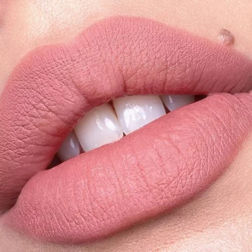 aplicat pe buze catrice Creion buze Plumping 010 - Understated Chic