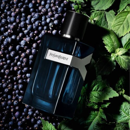 Yves Saint Laurent Y - Eau de Parfum Intense