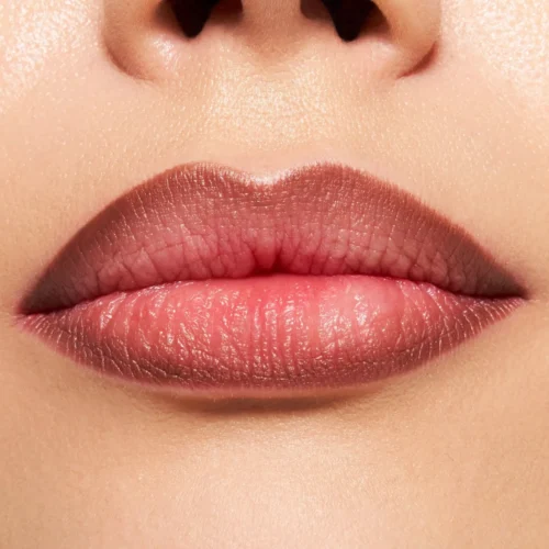 Catrice Creion buze Plumping 170 - Chocolate Lover