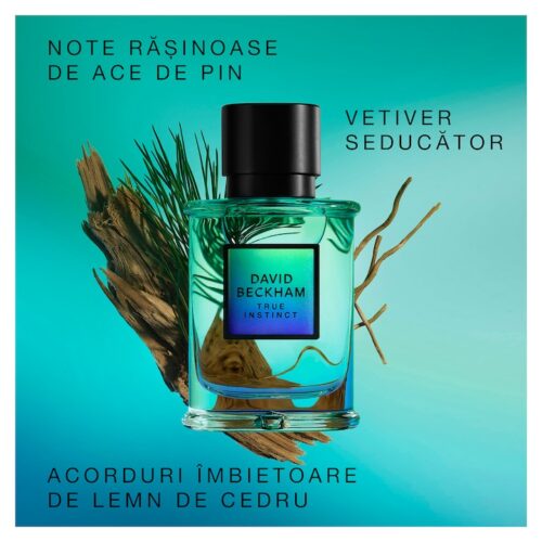 David Beckham True Instinct Apă de parfum 75ml