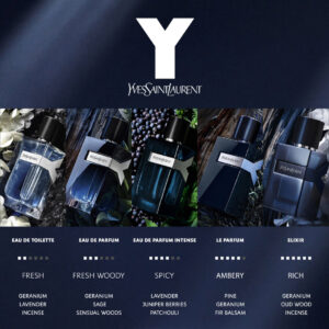 Yves Saint Laurent - Y Le Parfum 100ml