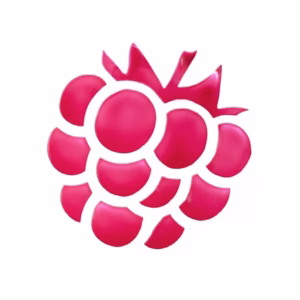 Essence nuanțator pentru buze și obraji what a tint! 10 - Raspberry Vibes