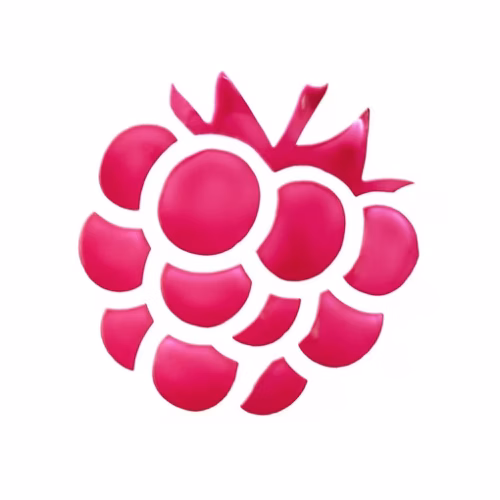 Essence nuanțator pentru buze și obraji what a tint! 10 - Raspberry Vibes